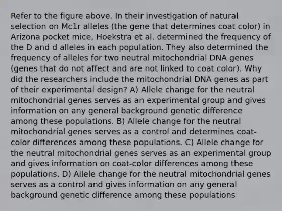 Refer to the figure above. In their investigation of natural selection on Mc1r alleles (the gene that determines coat color) in Arizona pocket mice, Hoekstra et al. determined the frequency of the D and d alleles in each population. They also determined the frequency of alleles for two neutral mitochondrial DNA genes (genes that do not affect and are not linked to coat color). Why did the researchers include the mitochondrial DNA genes as part of their experimental design? A) Allele change for the neutral mitochondrial genes serves as an experimental group and gives information on any general background genetic difference among these populations. B) Allele change for the neutral mitochondrial genes serves as a control and determines coat- color differences among these populations. C) Allele change for the neutral mitochondrial genes serves as an experimental group and gives information on coat-color differences among these populations. D) Allele change for the neutral mitochondrial genes serves as a control and gives information on any general background genetic difference among these populations