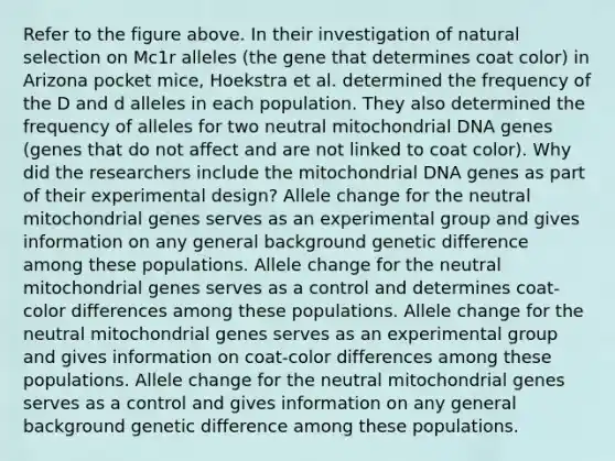 Refer to the figure above. In their investigation of natural selection on Mc1r alleles (the gene that determines coat color) in Arizona pocket mice, Hoekstra et al. determined the frequency of the D and d alleles in each population. They also determined the frequency of alleles for two neutral mitochondrial DNA genes (genes that do not affect and are not linked to coat color). Why did the researchers include the mitochondrial DNA genes as part of their experimental design? Allele change for the neutral mitochondrial genes serves as an experimental group and gives information on any general background genetic difference among these populations. Allele change for the neutral mitochondrial genes serves as a control and determines coat-color differences among these populations. Allele change for the neutral mitochondrial genes serves as an experimental group and gives information on coat-color differences among these populations. Allele change for the neutral mitochondrial genes serves as a control and gives information on any general background genetic difference among these populations.