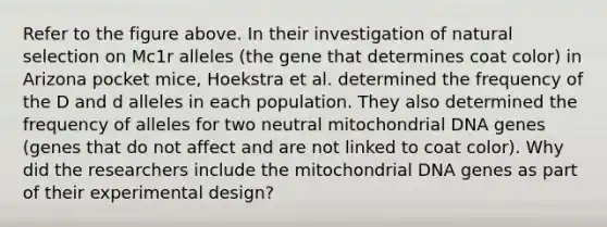 Refer to the figure above. In their investigation of natural selection on Mc1r alleles (the gene that determines coat color) in Arizona pocket mice, Hoekstra et al. determined the frequency of the D and d alleles in each population. They also determined the frequency of alleles for two neutral mitochondrial DNA genes (genes that do not affect and are not linked to coat color). Why did the researchers include the mitochondrial DNA genes as part of their experimental design?