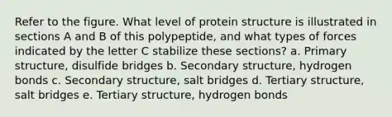 Refer to the figure. What level of protein structure is illustrated in sections A and B of this polypeptide, and what types of forces indicated by the letter C stabilize these sections? a. Primary structure, disulfide bridges b. Secondary structure, hydrogen bonds c. Secondary structure, salt bridges d. Tertiary structure, salt bridges e. Tertiary structure, hydrogen bonds