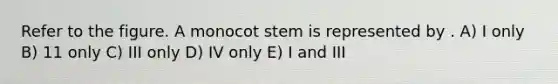 Refer to the figure. A monocot stem is represented by . A) I only B) 11 only C) III only D) IV only E) I and III