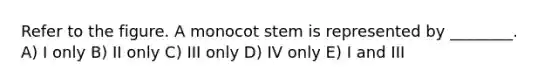 Refer to the figure. A monocot stem is represented by ________. A) I only B) II only C) III only D) IV only E) I and III