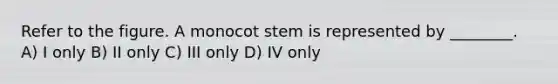 Refer to the figure. A monocot stem is represented by ________. A) I only B) II only C) III only D) IV only