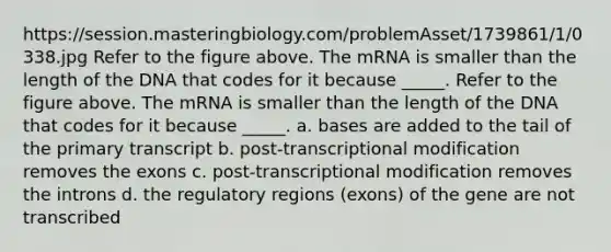 https://session.masteringbiology.com/problemAsset/1739861/1/0338.jpg Refer to the figure above. The mRNA is smaller than the length of the DNA that codes for it because _____. Refer to the figure above. The mRNA is smaller than the length of the DNA that codes for it because _____. a. bases are added to the tail of the primary transcript b. post-transcriptional modification removes the exons c. post-transcriptional modification removes the introns d. the regulatory regions (exons) of the gene are not transcribed