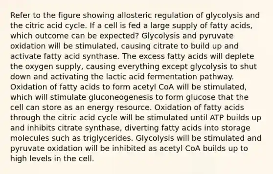 Refer to the figure showing allosteric regulation of glycolysis and the citric acid cycle. If a cell is fed a large supply of fatty acids, which outcome can be expected? Glycolysis and pyruvate oxidation will be stimulated, causing citrate to build up and activate fatty acid synthase. The excess fatty acids will deplete the oxygen supply, causing everything except glycolysis to shut down and activating the lactic acid fermentation pathway. Oxidation of fatty acids to form acetyl CoA will be stimulated, which will stimulate gluconeogenesis to form glucose that the cell can store as an energy resource. Oxidation of fatty acids through the citric acid cycle will be stimulated until ATP builds up and inhibits citrate synthase, diverting fatty acids into storage molecules such as triglycerides. Glycolysis will be stimulated and pyruvate oxidation will be inhibited as acetyl CoA builds up to high levels in the cell.