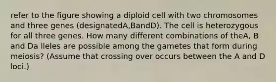 refer to the figure showing a diploid cell with two chromosomes and three genes (designatedA,BandD). The cell is heterozygous for all three genes. How many different combinations of theA, B and Da lleles are possible among the gametes that form during meiosis? (Assume that crossing over occurs between the A and D loci.)