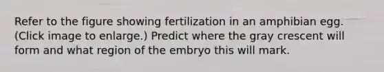 Refer to the figure showing fertilization in an amphibian egg. (Click image to enlarge.) Predict where the gray crescent will form and what region of the embryo this will mark.