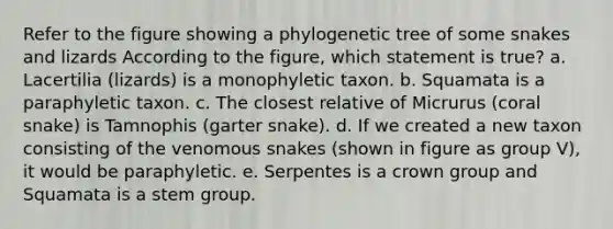 Refer to the figure showing a phylogenetic tree of some snakes and lizards According to the figure, which statement is true? a. Lacertilia (lizards) is a monophyletic taxon. b. Squamata is a paraphyletic taxon. c. The closest relative of Micrurus (coral snake) is Tamnophis (garter snake). d. If we created a new taxon consisting of the venomous snakes (shown in figure as group V), it would be paraphyletic. e. Serpentes is a crown group and Squamata is a stem group.