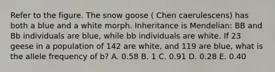 Refer to the figure. The snow goose ( Chen caerulescens) has both a blue and a white morph. Inheritance is Mendelian: BB and Bb individuals are blue, while bb individuals are white. If 23 geese in a population of 142 are white, and 119 are blue, what is the allele frequency of b? A. 0.58 B. 1 C. 0.91 D. 0.28 E. 0.40