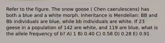 Refer to the figure. The snow goose ( Chen caerulescens) has both a blue and a white morph. Inheritance is Mendelian: BB and Bb individuals are blue, while bb individuals are white. If 23 geese in a population of 142 are white, and 119 are blue, what is the allele frequency of b? A) 1 B) 0.40 C) 0.58 D) 0.28 E) 0.91