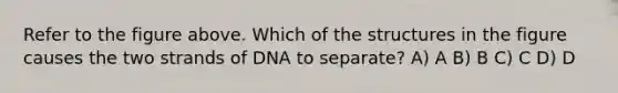 Refer to the figure above. Which of the structures in the figure causes the two strands of DNA to separate? A) A B) B C) C D) D