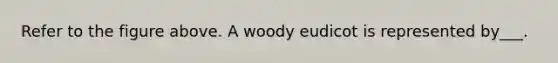 Refer to the figure above. A woody eudicot is represented by___.