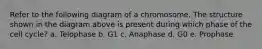 Refer to the following diagram of a chromosome. The structure shown in the diagram above is present during which phase of the cell cycle? a. Telophase b. G1 c. Anaphase d. G0 e. Prophase