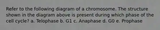 Refer to the following diagram of a chromosome. The structure shown in the diagram above is present during which phase of the cell cycle? a. Telophase b. G1 c. Anaphase d. G0 e. Prophase