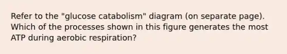 Refer to the "glucose catabolism" diagram (on separate page). Which of the processes shown in this figure generates the most ATP during aerobic respiration?