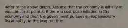 Refer to the above graph. Assume that the economy is initially at equilibrium at point A. If there is cost-push inflation in this economy and then the government pursues an expansionary fiscal policy, in the long run the: