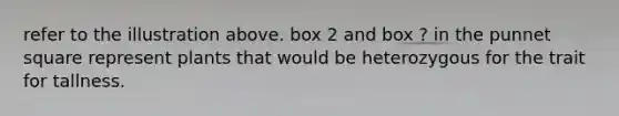 refer to the illustration above. box 2 and box ? in the punnet square represent plants that would be heterozygous for the trait for tallness.