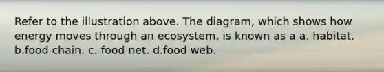 Refer to the illustration above. The diagram, which shows how energy moves through an ecosystem, is known as a a. habitat. b.food chain. c. food net. d.food web.