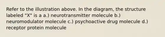 Refer to the illustration above. In the diagram, the structure labeled "X" is a a.) neurotransmitter molecule b.) neuromodulator molecule c.) psychoactive drug molecule d.) receptor protein molecule