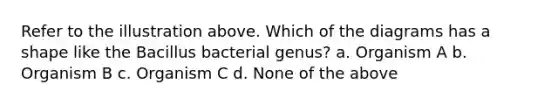 Refer to the illustration above. Which of the diagrams has a shape like the Bacillus bacterial genus? a. Organism A b. Organism B c. Organism C d. None of the above