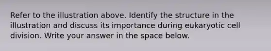 Refer to the illustration above. Identify the structure in the illustration and discuss its importance during eukaryotic cell division. Write your answer in the space below.