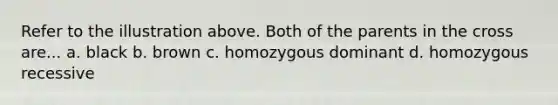 Refer to the illustration above. Both of the parents in the cross are... a. black b. brown c. homozygous dominant d. homozygous recessive