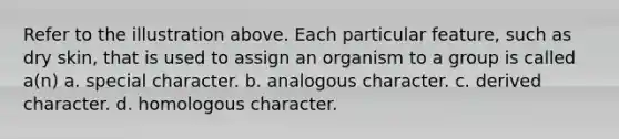 Refer to the illustration above. Each particular feature, such as dry skin, that is used to assign an organism to a group is called a(n) a. special character. b. analogous character. c. derived character. d. homologous character.