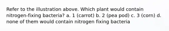 Refer to the illustration above. Which plant would contain nitrogen-fixing bacteria? a. 1 (carrot) b. 2 (pea pod) c. 3 (corn) d. none of them would contain nitrogen fixing bacteria