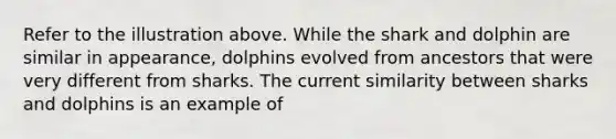 Refer to the illustration above. While the shark and dolphin are similar in appearance, dolphins evolved from ancestors that were very different from sharks. The current similarity between sharks and dolphins is an example of