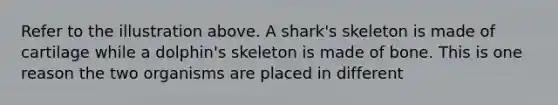 Refer to the illustration above. A shark's skeleton is made of cartilage while a dolphin's skeleton is made of bone. This is one reason the two organisms are placed in different