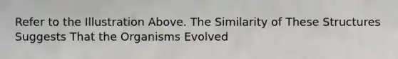 Refer to the Illustration Above. The Similarity of These Structures Suggests That the Organisms Evolved