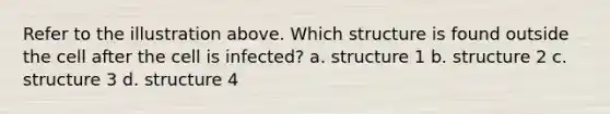 Refer to the illustration above. Which structure is found outside the cell after the cell is infected? a. structure 1 b. structure 2 c. structure 3 d. structure 4