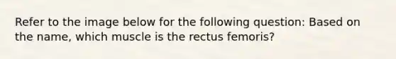 Refer to the image below for the following question: Based on the name, which muscle is the rectus femoris?