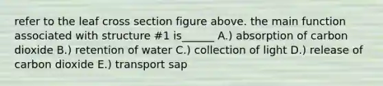 refer to the leaf cross section figure above. the main function associated with structure #1 is______ A.) absorption of carbon dioxide B.) retention of water C.) collection of light D.) release of carbon dioxide E.) transport sap