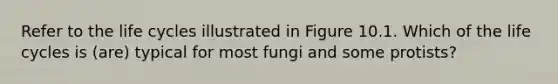 Refer to the life cycles illustrated in Figure 10.1. Which of the life cycles is (are) typical for most fungi and some protists?