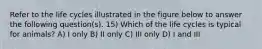 Refer to the life cycles illustrated in the figure below to answer the following question(s). 15) Which of the life cycles is typical for animals? A) I only B) II only C) III only D) I and III