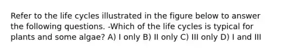 Refer to the life cycles illustrated in the figure below to answer the following questions. -Which of the life cycles is typical for plants and some algae? A) I only B) II only C) III only D) I and III