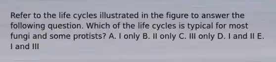 Refer to the life cycles illustrated in the figure to answer the following question. Which of the life cycles is typical for most fungi and some protists? A. I only B. II only C. III only D. I and II E. I and III