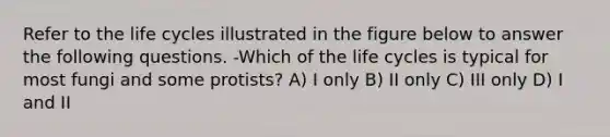 Refer to the life cycles illustrated in the figure below to answer the following questions. -Which of the life cycles is typical for most fungi and some protists? A) I only B) II only C) III only D) I and II