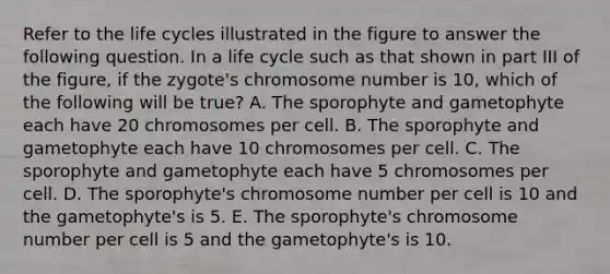 Refer to the life cycles illustrated in the figure to answer the following question. In a life cycle such as that shown in part III of the figure, if the zygote's chromosome number is 10, which of the following will be true? A. The sporophyte and gametophyte each have 20 chromosomes per cell. B. The sporophyte and gametophyte each have 10 chromosomes per cell. C. The sporophyte and gametophyte each have 5 chromosomes per cell. D. The sporophyte's chromosome number per cell is 10 and the gametophyte's is 5. E. The sporophyte's chromosome number per cell is 5 and the gametophyte's is 10.