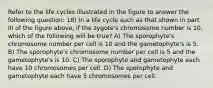 Refer to the life cycles illustrated in the figure to answer the following question: 18) In a life cycle such as that shown in part III of the figure above, if the zygote's chromosome number is 10, which of the following will be true? A) The sporophyte's chromosome number per cell is 10 and the gametophyte's is 5. B) The sporophyte's chromosome number per cell is 5 and the gametophyte's is 10. C) The sporophyte and gametophyte each have 10 chromosomes per cell. D) The sporophyte and gametophyte each have 5 chromosomes per cell.