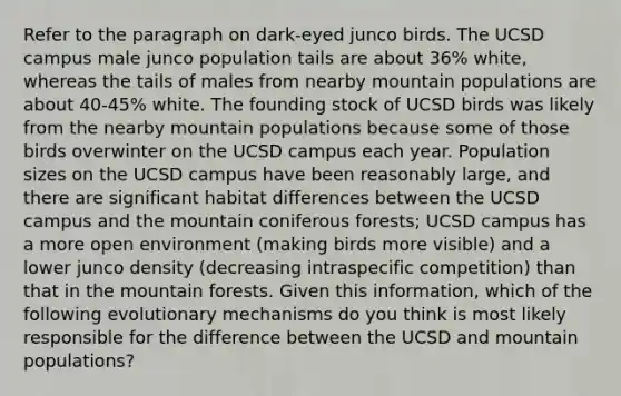 Refer to the paragraph on dark-eyed junco birds. The UCSD campus male junco population tails are about 36% white, whereas the tails of males from nearby mountain populations are about 40-45% white. The founding stock of UCSD birds was likely from the nearby mountain populations because some of those birds overwinter on the UCSD campus each year. Population sizes on the UCSD campus have been reasonably large, and there are significant habitat differences between the UCSD campus and the mountain coniferous forests; UCSD campus has a more open environment (making birds more visible) and a lower junco density (decreasing intraspecific competition) than that in the mountain forests. Given this information, which of the following evolutionary mechanisms do you think is most likely responsible for the difference between the UCSD and mountain populations?