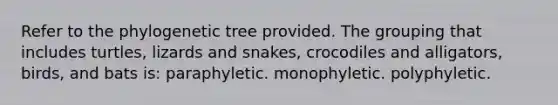 Refer to the phylogenetic tree provided. The grouping that includes turtles, lizards and snakes, crocodiles and alligators, birds, and bats is: paraphyletic. monophyletic. polyphyletic.