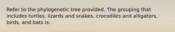 Refer to the phylogenetic tree provided. The grouping that includes turtles, lizards and snakes, crocodiles and alligators, birds, and bats is: