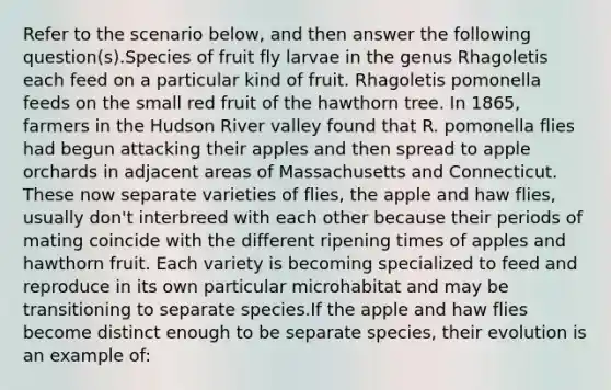 Refer to the scenario below, and then answer the following question(s).Species of fruit fly larvae in the genus Rhagoletis each feed on a particular kind of fruit. Rhagoletis pomonella feeds on the small red fruit of the hawthorn tree. In 1865, farmers in the Hudson River valley found that R. pomonella flies had begun attacking their apples and then spread to apple orchards in adjacent areas of Massachusetts and Connecticut. These now separate varieties of flies, the apple and haw flies, usually don't interbreed with each other because their periods of mating coincide with the different ripening times of apples and hawthorn fruit. Each variety is becoming specialized to feed and reproduce in its own particular microhabitat and may be transitioning to separate species.If the apple and haw flies become distinct enough to be separate species, their evolution is an example of: