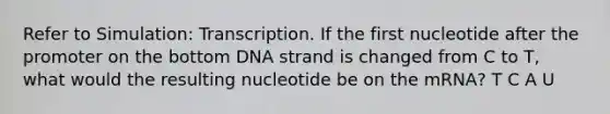 Refer to Simulation: Transcription. If the first nucleotide after the promoter on the bottom DNA strand is changed from C to T, what would the resulting nucleotide be on the mRNA? T C A U