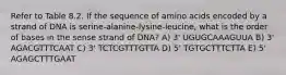 Refer to Table 8.2. If the sequence of amino acids encoded by a strand of DNA is serine-alanine-lysine-leucine, what is the order of bases in the sense strand of DNA? A) 3' UGUGCAAAGUUA B) 3' AGACGTTTCAAT C) 3' TCTCGTTTGTTA D) 5' TGTGCTTTCTTA E) 5' AGAGCTTTGAAT