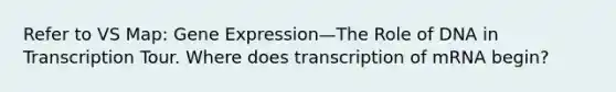 Refer to VS Map: Gene Expression—The Role of DNA in Transcription Tour. Where does transcription of mRNA begin?