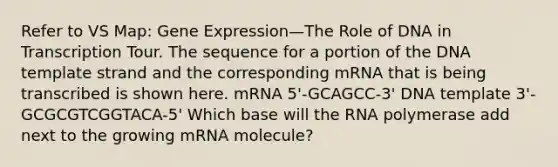 Refer to VS Map: Gene Expression—The Role of DNA in Transcription Tour. The sequence for a portion of the DNA template strand and the corresponding mRNA that is being transcribed is shown here. mRNA 5'-GCAGCC-3' DNA template 3'-GCGCGTCGGTACA-5' Which base will the RNA polymerase add next to the growing mRNA molecule?