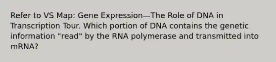 Refer to VS Map: <a href='https://www.questionai.com/knowledge/kFtiqWOIJT-gene-expression' class='anchor-knowledge'>gene expression</a>—The Role of DNA in Transcription Tour. Which portion of DNA contains the genetic information "read" by the RNA polymerase and transmitted into mRNA?